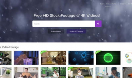 视频素材网站,视频素材网站精选集锦
